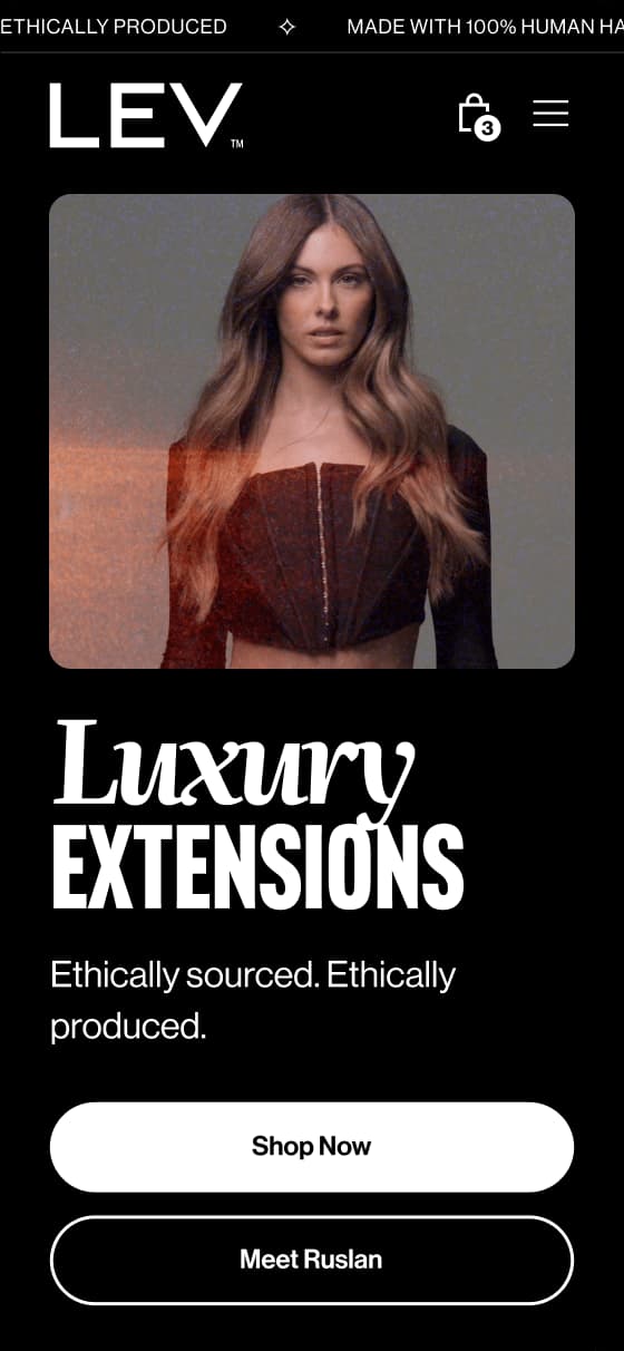 LEV Extensions project